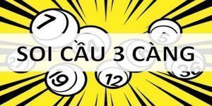lo-3-cang-soi-cau